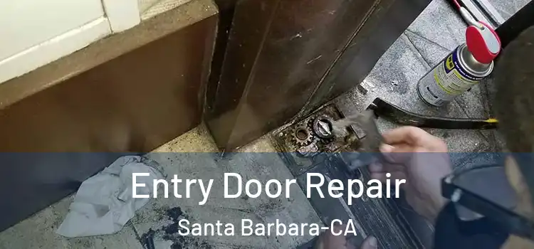  Entry Door Repair Santa Barbara-CA