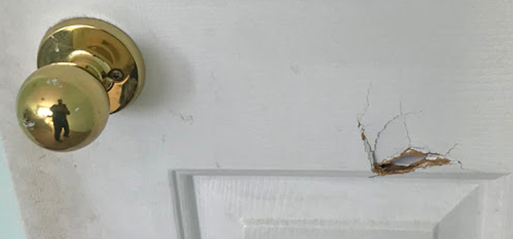 interior door hole repair Santa Barbara
