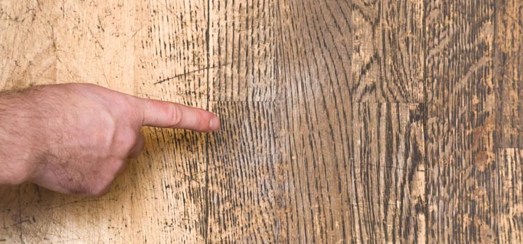 Wood Door Scratch Repair in Santa Barbara
